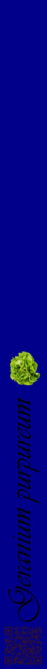 Étiquette de : Geranium purpureum - format a - style noire7viv avec qrcode et comestibilité simplifiée