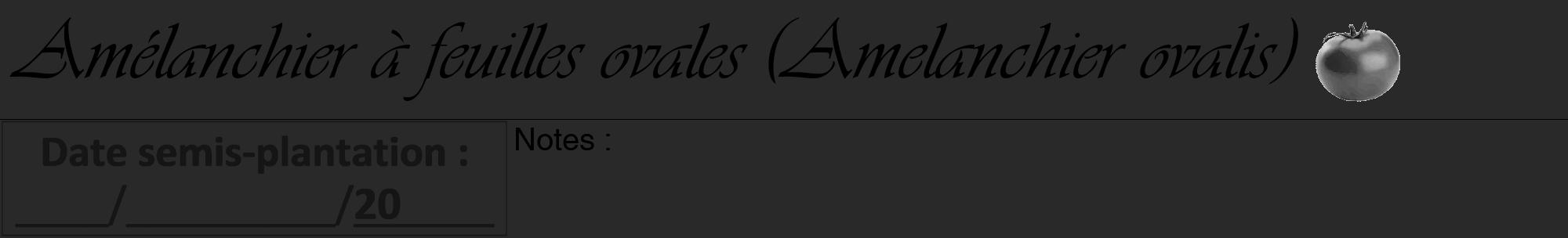 Étiquette de : Amelanchier ovalis - format a - style noire34basiqueviv avec comestibilité simplifiée