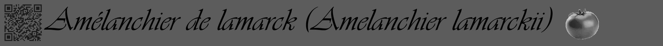 Étiquette de : Amelanchier lamarckii - format a - style noire49viv avec qrcode et comestibilité simplifiée