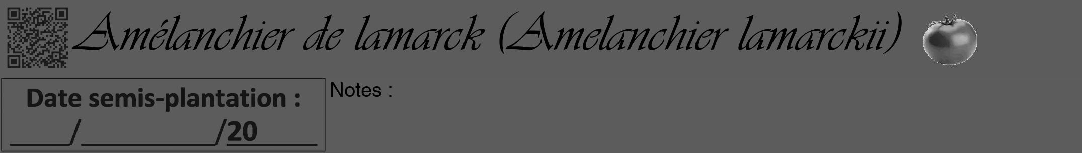 Étiquette de : Amelanchier lamarckii - format a - style noire49viv avec qrcode et comestibilité simplifiée