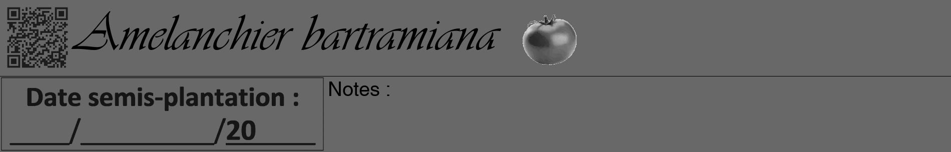 Étiquette de : Amelanchier bartramiana - format a - style noire43basiqueviv avec qrcode et comestibilité simplifiée