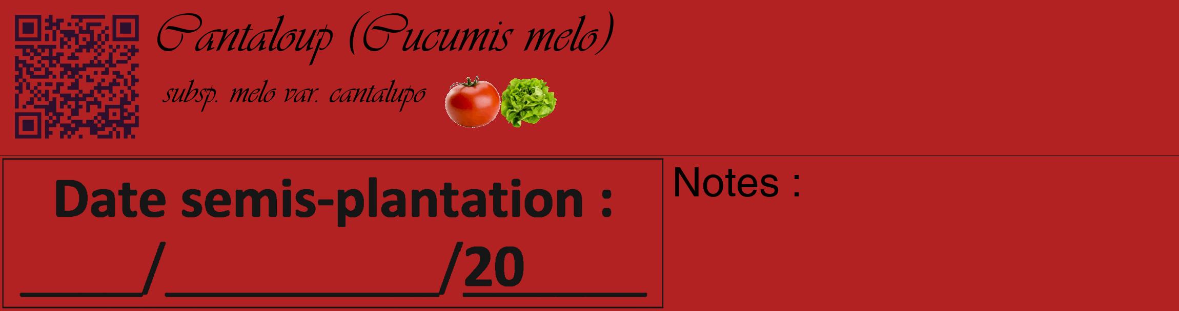 Étiquette de : Cucumis melo subsp. melo var. cantalupo - format c - style noire28_basique_basiqueviv avec qrcode et comestibilité simplifiée