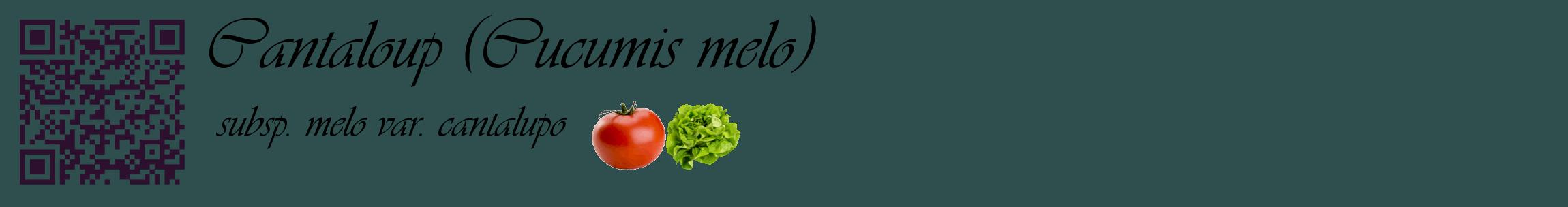 Étiquette de : Cucumis melo subsp. melo var. cantalupo - format c - style noire58_basiqueviv avec qrcode et comestibilité simplifiée