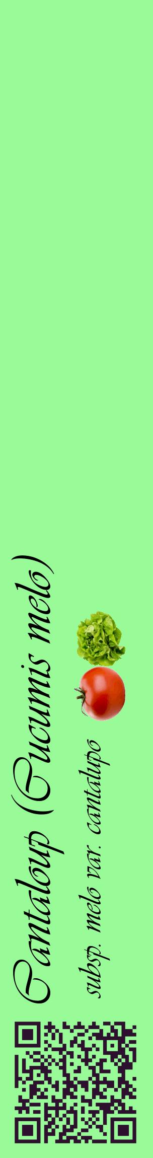 Étiquette de : Cucumis melo subsp. melo var. cantalupo - format c - style noire14_basiqueviv avec qrcode et comestibilité simplifiée