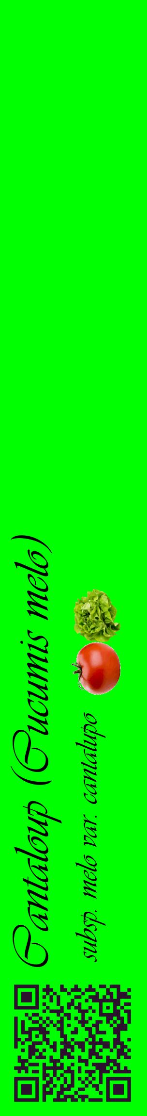 Étiquette de : Cucumis melo subsp. melo var. cantalupo - format c - style noire16_basiqueviv avec qrcode et comestibilité simplifiée