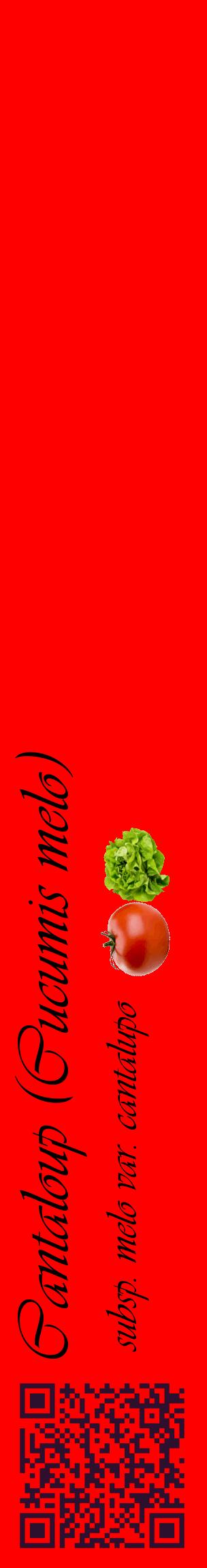Étiquette de : Cucumis melo subsp. melo var. cantalupo - format c - style noire27_basiqueviv avec qrcode et comestibilité simplifiée