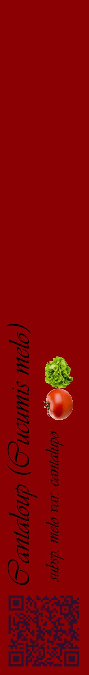 Étiquette de : Cucumis melo subsp. melo var. cantalupo - format c - style noire34_basiqueviv avec qrcode et comestibilité simplifiée