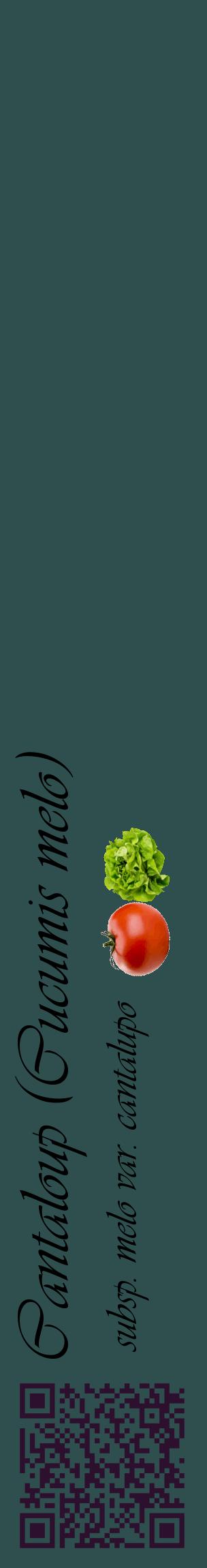 Étiquette de : Cucumis melo subsp. melo var. cantalupo - format c - style noire58_basiqueviv avec qrcode et comestibilité simplifiée