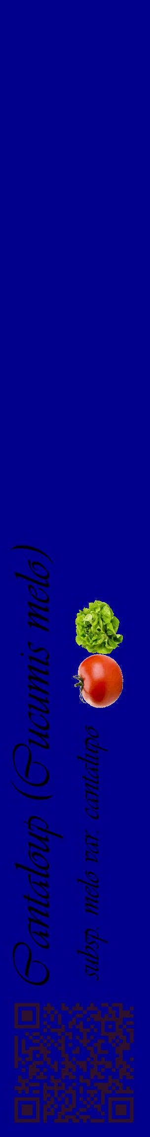 Étiquette de : Cucumis melo subsp. melo var. cantalupo - format c - style noire7_basiqueviv avec qrcode et comestibilité simplifiée