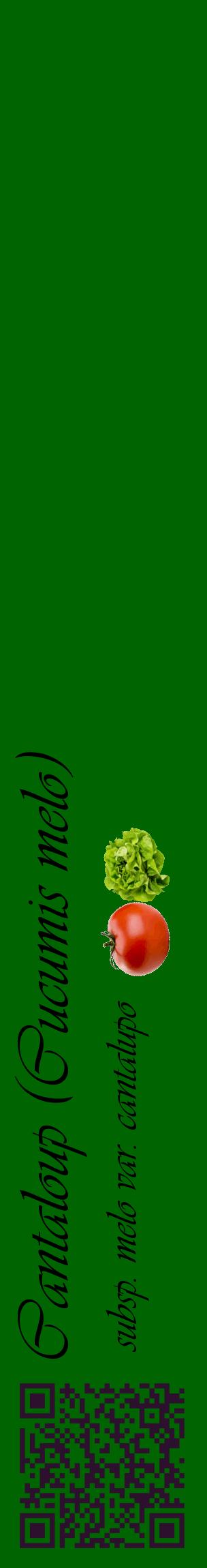 Étiquette de : Cucumis melo subsp. melo var. cantalupo - format c - style noire8_basiqueviv avec qrcode et comestibilité simplifiée