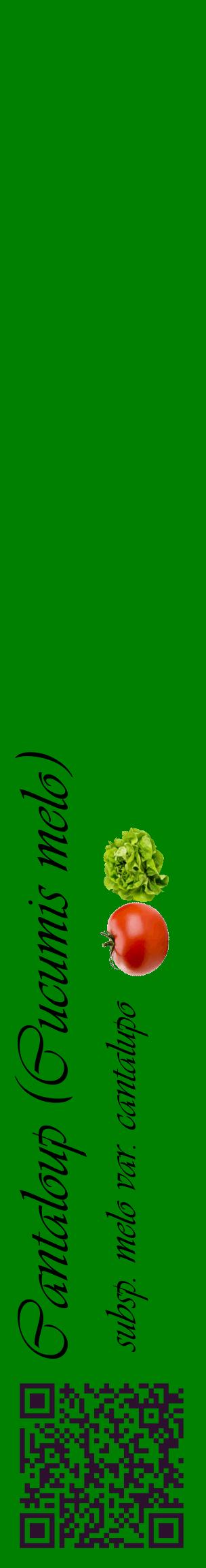 Étiquette de : Cucumis melo subsp. melo var. cantalupo - format c - style noire9_basiqueviv avec qrcode et comestibilité simplifiée