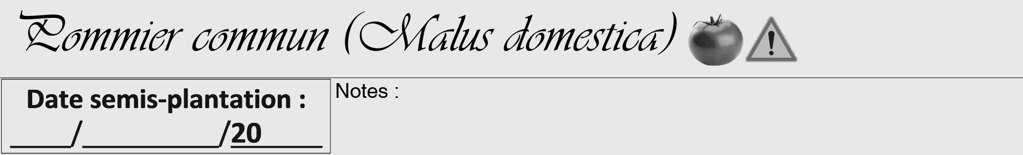 Étiquette de : Malus domestica - format a - style noire55viv avec comestibilité simplifiée